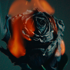 西欧乱伦喷精内射
